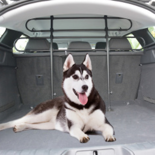 121007 Köpek Araç Bagajı Bölme Aparatı 85-140/75-110 cm