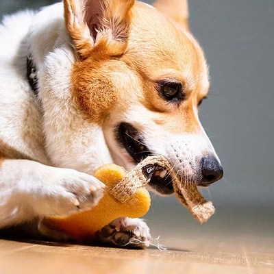 6041 Gum Gum Peynir Şekilli Köpek Oyuncağı - Thumbnail