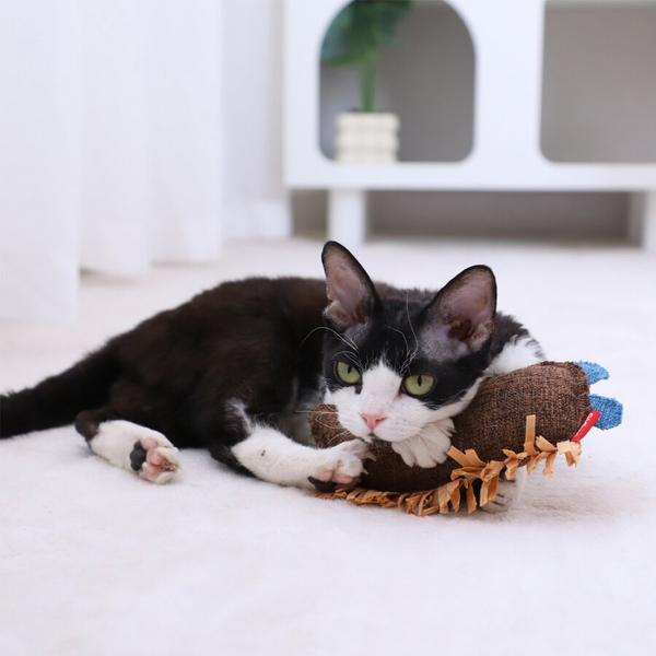 7498 Vahşi İzci Kirpi – Rafya Kurdeleli Kedi Oyuncağı