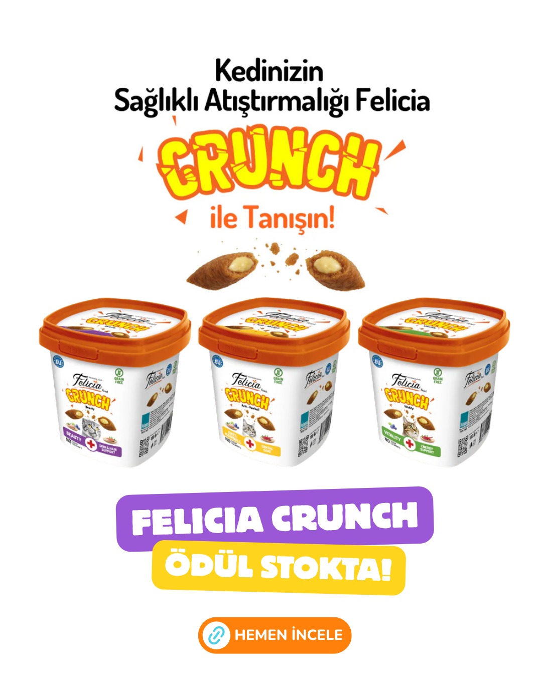 CRUNC.jpg (195 KB)