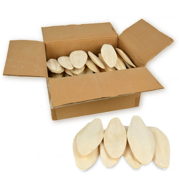 Büyük Boy Dökme Mürekkep Bal.Kemiği 3 Kg (Kalamar) 15-20 cm.