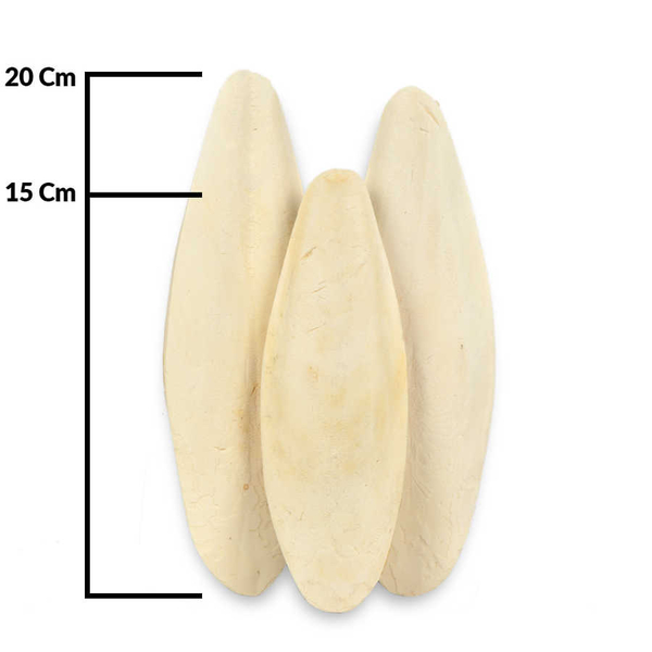 Büyük Boy Dökme Mürekkep Bal.Kemiği 3 Kg (Kalamar) 15-20 cm.
