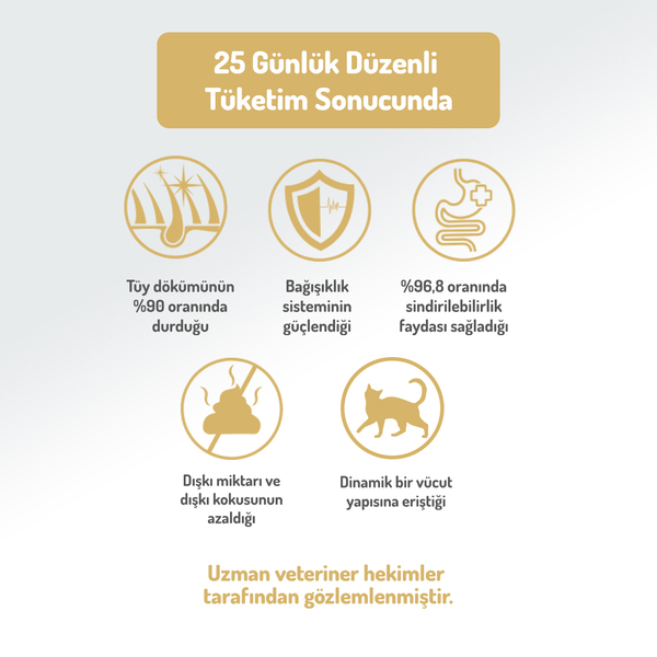 Felicia 12 Kg Kolajenli Somonlu Az Tahıllı Kısırlaştırılmış Kedi Maması HypoAllergenic Kedi Maması