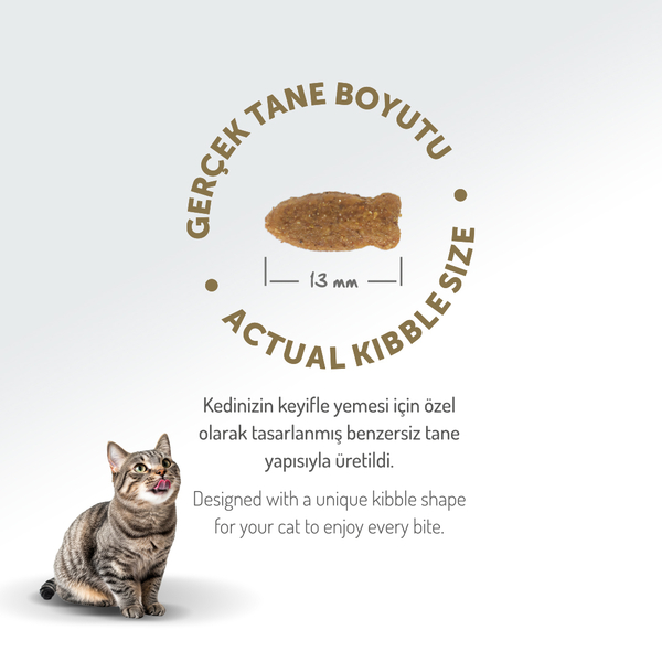 Felicia 12 Kg Kolajenli Somonlu Az Tahıllı Yetişkin Kedi Maması HypoAllergenic Kedi Maması