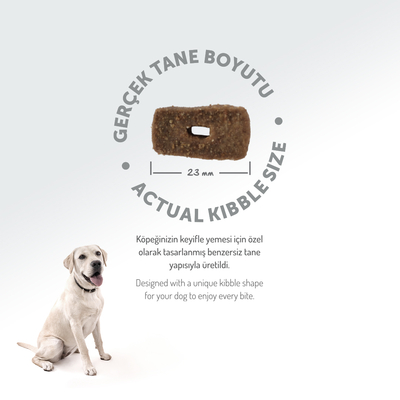 Felicia 15 Kg Kolajenli Kuzulu Az Tahıllı M/Large Yetişkin Köpek Maması Breed HypoAllergenic Köpek Maması - Thumbnail