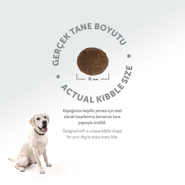 Felicia 15 Kg Kolajenli Somonlu Az Tahıllı M/Large Yetişkin Köpek Maması Breed HypoAllergenic Köpek Maması