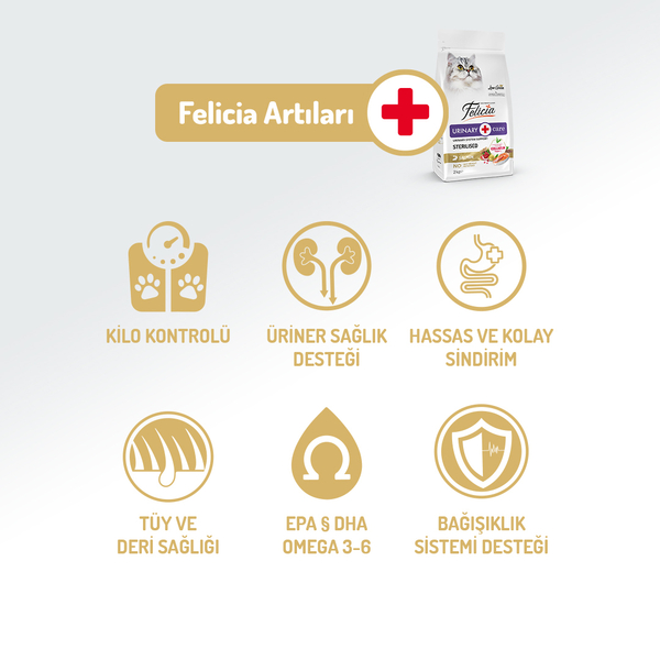 Felicia 2 Kg Kolajenli Somonlu Az Tahıllı Kısırlaştırılmış Kedi Maması HypoAllergenic Kedi Maması