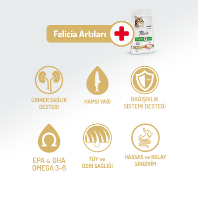 Felicia 2 Kg Kolajenli Tavuklu Az Tahıllı Yetişkin Kedi Maması HypoAllergenic Kedi Maması - Thumbnail