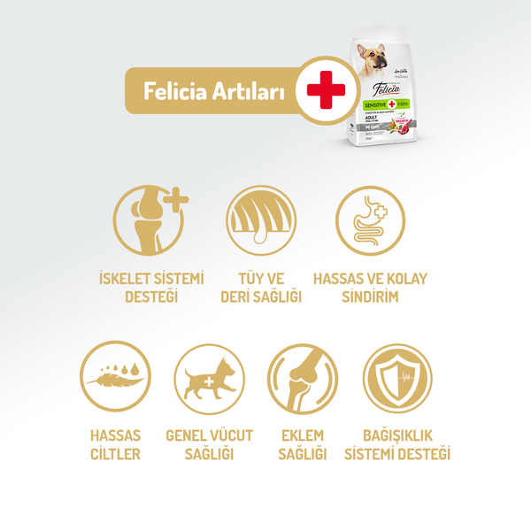 Felicia 3 Kg Kolajenli Kuzulu Az Tahıllı Small/Mini Yetişkin Köpek Maması HypoAllergenic Köpek Maması