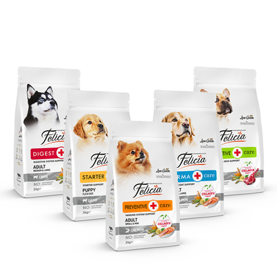 Felicia - Felicia 3 Kg Kolajenli Lansman Seti 10 Adet - AĞUSTOS