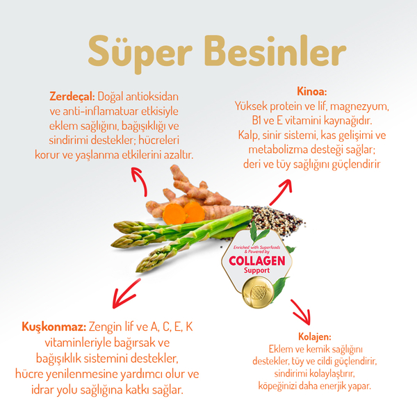 Felicia 3 Kg Kolajenli Somonlu Az Tahıllı M/Large Yetişkin Köpek Maması Breed HypoAllergenic Köpek Maması