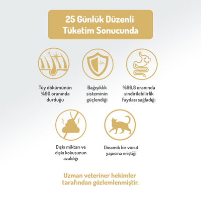 Felicia 5 Kg Kolajenli Somonlu Az Tahıllı Kısırlaştırılmış Kedi Maması HypoAllergenic Kedi Maması - Thumbnail