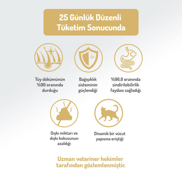 Felicia 5 Kg Kolajenli Somonlu Az Tahıllı Kısırlaştırılmış Kedi Maması HypoAllergenic Kedi Maması