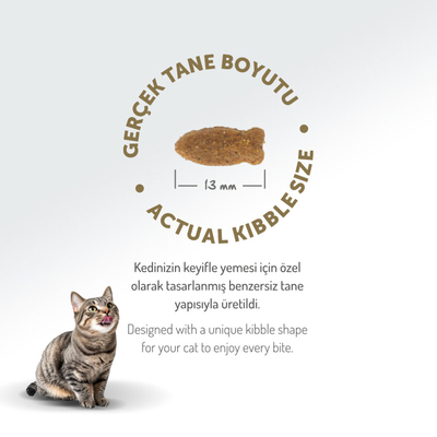 Felicia 5 Kg Kolajenli Somonlu Az Tahıllı Yetişkin Kedi Maması HypoAllergenic Kedi Maması - Thumbnail