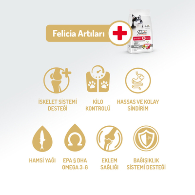 Felicia 6 Kg (2x3 Kg) Kolajenli Kuzulu Az Tahıllı M/Large Yetişkin Köpek Maması. Breed HypoAllergenic Köpek Maması - Thumbnail