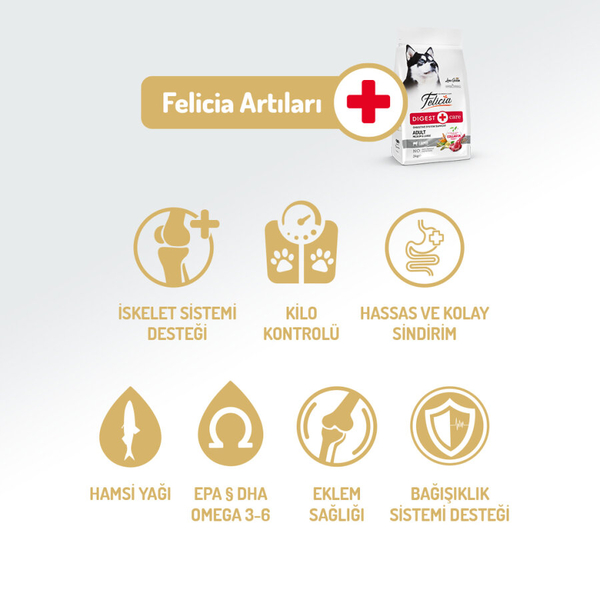 Felicia 6 Kg (2x3 Kg) Kolajenli Kuzulu Az Tahıllı M/Large Yetişkin Köpek Maması. Breed HypoAllergenic Köpek Maması