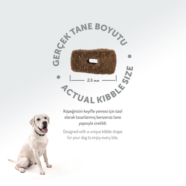 Felicia 6 Kg (2x3 Kg) Kolajenli Kuzulu Az Tahıllı M/Large Yetişkin Köpek Maması. Breed HypoAllergenic Köpek Maması