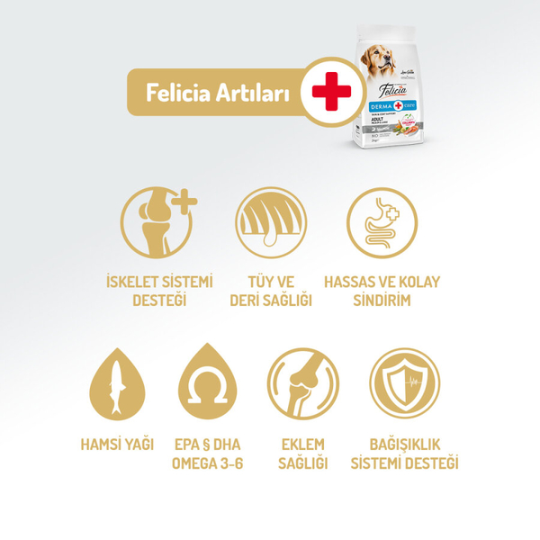 Felicia 6 Kg (2x3 Kg) Kolajenli Somonlu Az Tahıllı M/Large Yetişkin Köpek Maması. Breed HypoAllergenic Köpek Maması