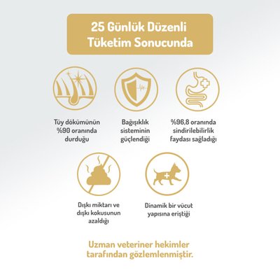 Felicia 6 Kg (2x3 Kg) Kolajenli Somonlu Az Tahıllı M/Large Yetişkin Köpek Maması. Breed HypoAllergenic Köpek Maması - Thumbnail