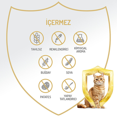 Felicia 85 gr Sığır Etli Ezme Yetişkin Kedi Konserve Maması 24 Adet - Thumbnail