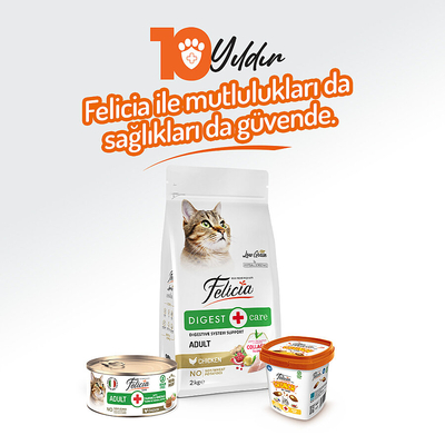 Felicia 85 gr Tavuklu Ezme Yetişkin Kedi Konserve Maması 24 Adet - Thumbnail
