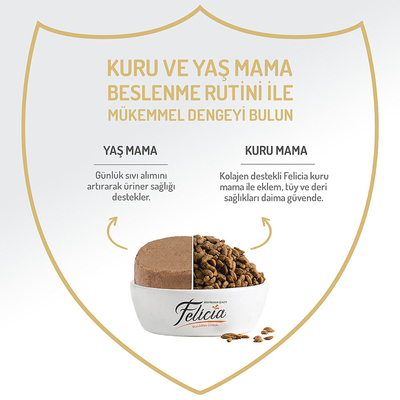 Felicia 85 gr Tavuklu Püre Yavru Kedi Konserve Maması 24 Adet - Thumbnail