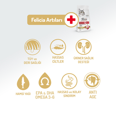 Felicia 12 Kg Kolajenli Kuzulu Az Tahıllı Yetişkin Kedi Maması HypoAllergenic Kedi Maması - Thumbnail