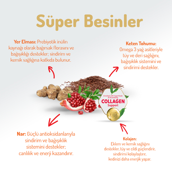 Felicia 12 Kg Kolajenli Kuzulu Az Tahıllı Yetişkin Kedi Maması HypoAllergenic Kedi Maması