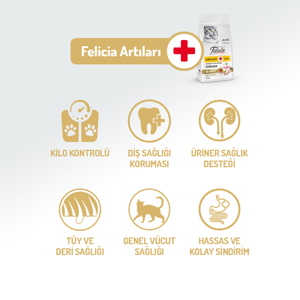 Felicia 12 Kg Kolajenli Tavuklu Az Tahıllı Kısırlaştırılmış Kedi Maması HypoAllergenic Kedi Maması