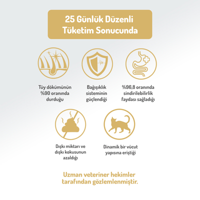 Felicia 2 Kg Kolajenli Kuzulu Az Tahıllı Yetişkin Kedi Maması HypoAllergenic Kedi Maması - Thumbnail