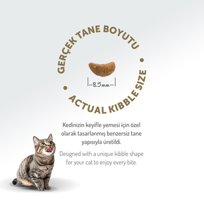 Felicia 2 Kg Kolajenli Kuzulu Az Tahıllı Yetişkin Kedi Maması HypoAllergenic Kedi Maması - Thumbnail