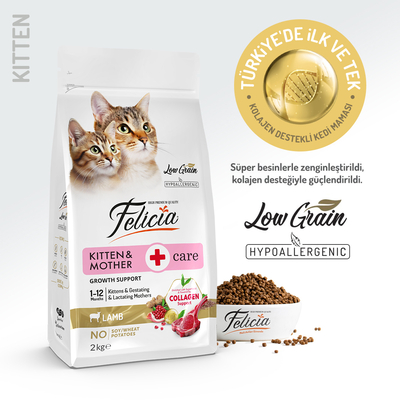 Felicia - Felicia 2 Kg Kolajenli Kuzulu Az Tahıllı Yavru Kedi Maması HypoAllergenic Kedi Maması