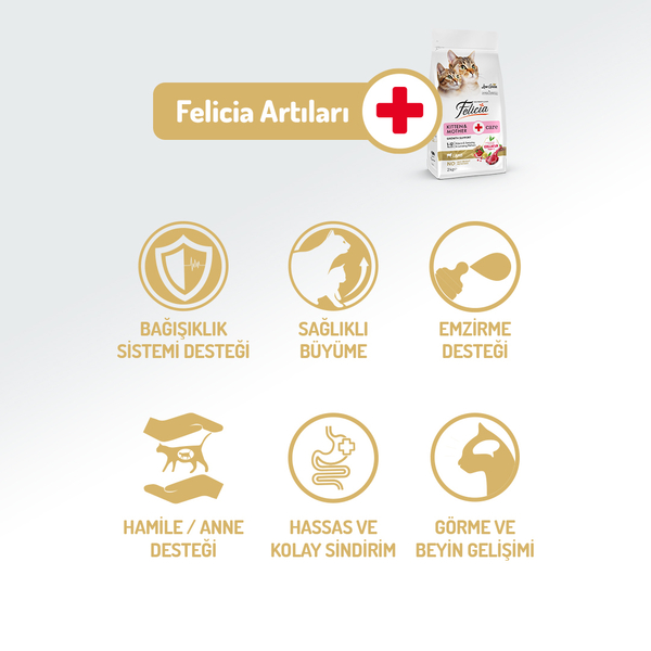 Felicia 2 Kg Kolajenli Kuzulu Az Tahıllı Yavru Kedi Maması HypoAllergenic Kedi Maması