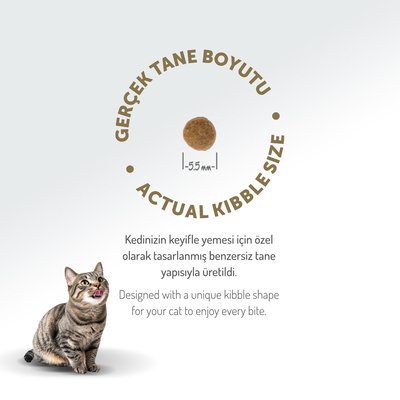 Felicia 2 Kg Kolajenli Kuzulu Az Tahıllı Yavru Kedi Maması HypoAllergenic Kedi Maması - Thumbnail