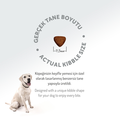 Felicia 6 Kg (2x3 Kg) Kolajenli Kuzulu Az Tahıllı Flexi Size Yavru Köpek Maması HypoAllergenic Köpek Maması - Thumbnail