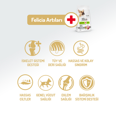 Felicia 6 Kg (2x3 Kg) Kolajenli Kuzulu Az Tahıllı Small/Mini Yetişkin Köpek Maması HypoAllergenic Köpek Maması - Thumbnail