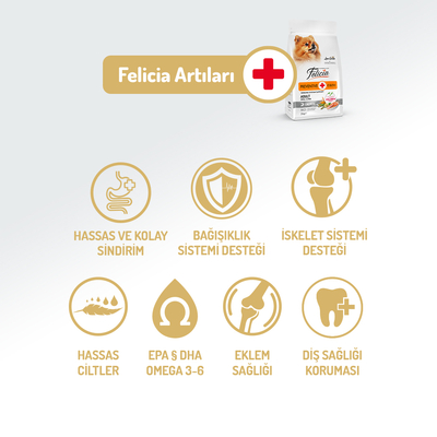 Felicia 6 Kg (2x3 Kg) Kolajenli Somonlu Az Tahıllı Small/Mini Yetişkin Köpek Maması /Mini HypoAllergenic Köpek Maması - Thumbnail