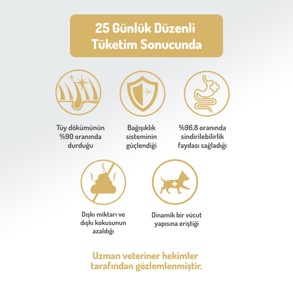 Felicia 6 Kg (2x3 Kg) Kolajenli Somonlu Az Tahıllı Small/Mini Yetişkin Köpek Maması /Mini HypoAllergenic Köpek Maması