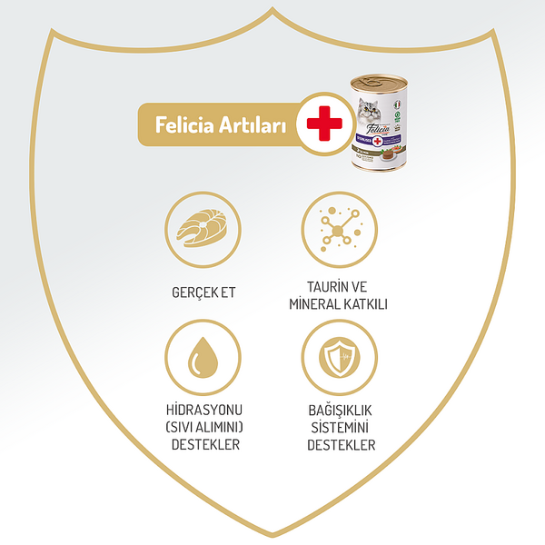 Felicia Kısır Tahılsız Somonlu Kedi Konserve 400g - 12 Adet