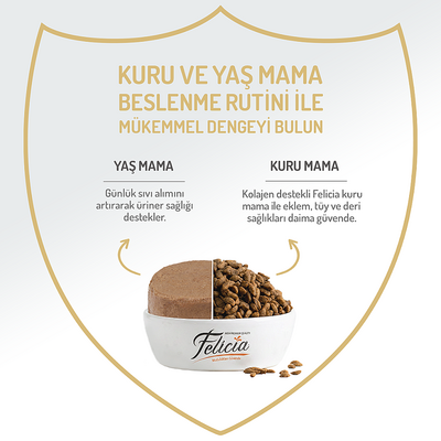 Felicia Yetişkin Tahılsız Biftekli Köpek Konserve 400g - 12 Adet - Thumbnail
