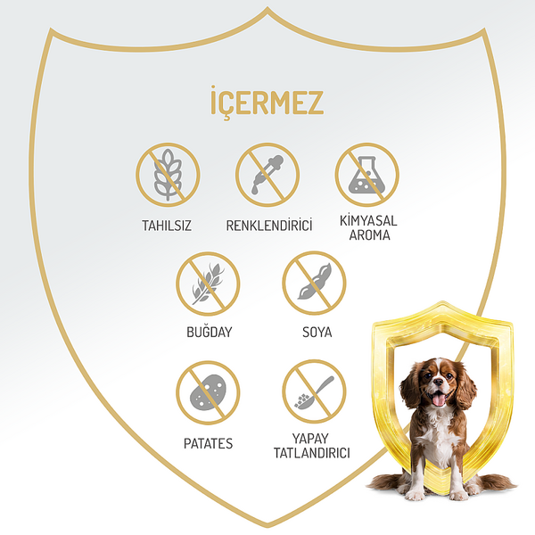 Felicia Yetişkin Tahılsız Biftekli Köpek Konserve 400g - 12 Adet