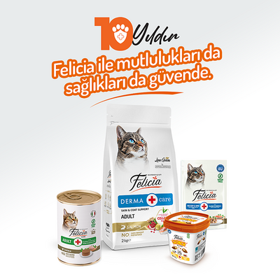 Felicia Yetişkin Tahılsız Tavuklu Kedi Konserve 400g - 12 Adet - Thumbnail