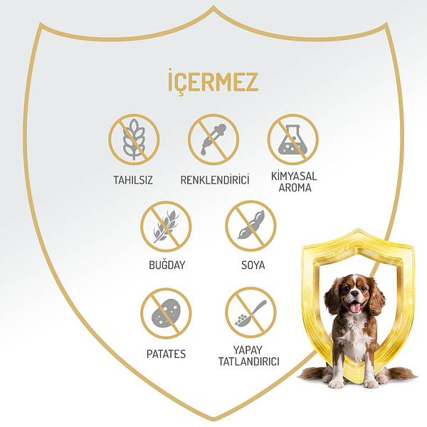 Felicia Yetişkin Tahılsız Tavuklu Köpek Konserve 400g - 12 Adet