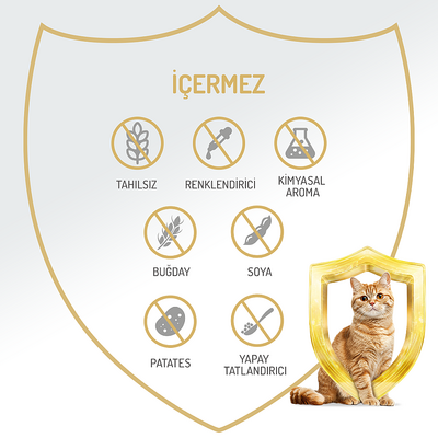 Felicia Yetişkin Tahılsız Ton Balıklı Kedi Konserve 400g - 12 Adet - Thumbnail