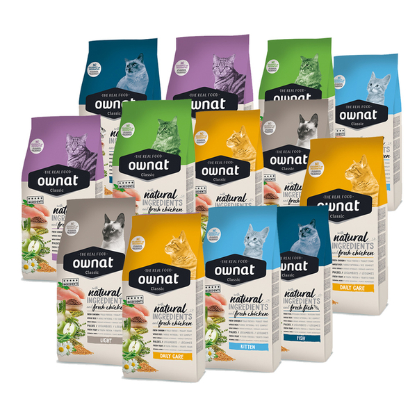 Ownat Kedi Seti - TEMMUZ