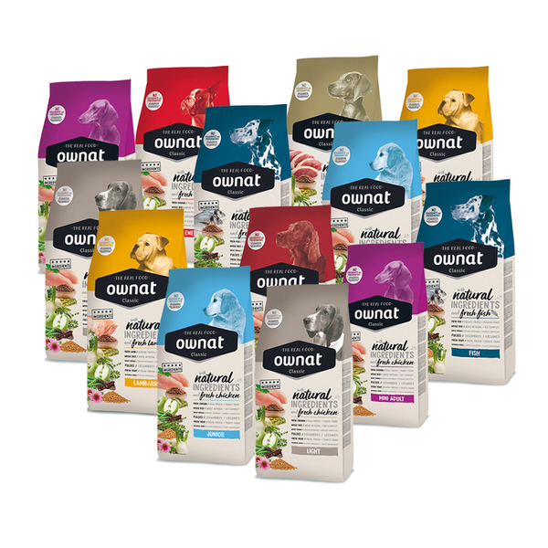 Ownat Köpek Seti - TEMMUZ