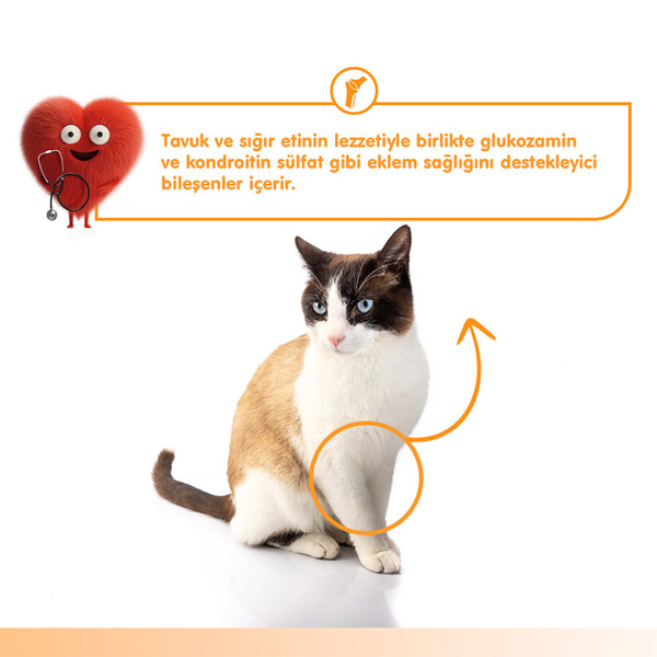 Wanpy Bone Support Sığır Eti&Tavuk 12'li-F.Krema Ödül 5x14gr