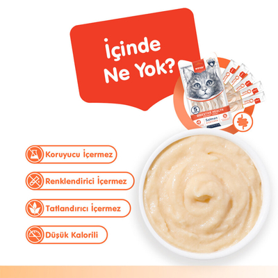 Wanpy Digestive Health Somon Balığı&Tavuk 12'li-F.Krema Ödül 5x14gr - Thumbnail