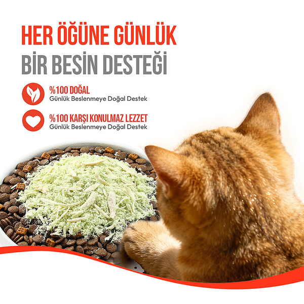 Wanpy Dondurularak Kurutulmuş Fluffy Toppers – Tavuk & Kedi Otu - 30g