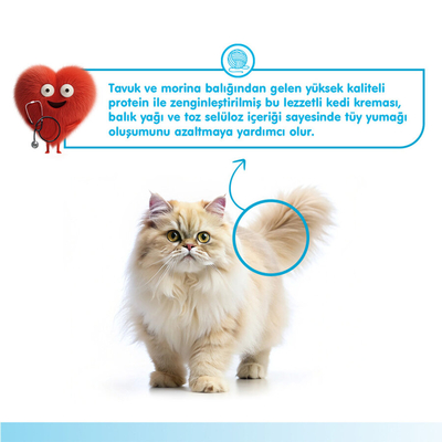 Wanpy Hairball Control Morina balığı&Tavuk 12'li-F.Krema Ödül 5x14gr - Thumbnail